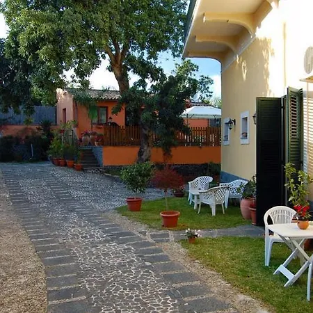 Carati